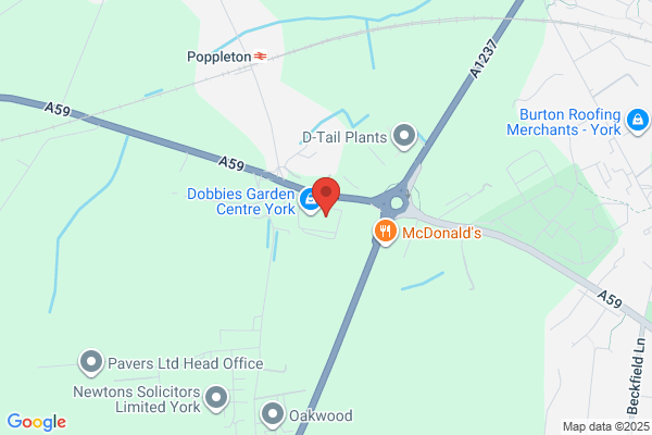 Maidenhead Aquatics York