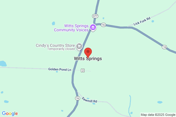 S Witts