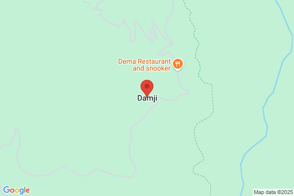 F Damji