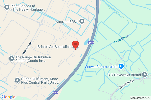 Bristol Vet Specialists