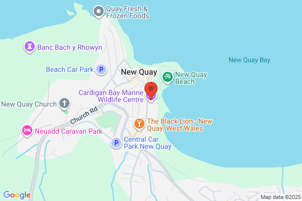 New Quay Watersports