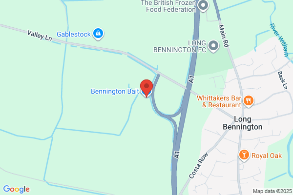 Bennington Bait