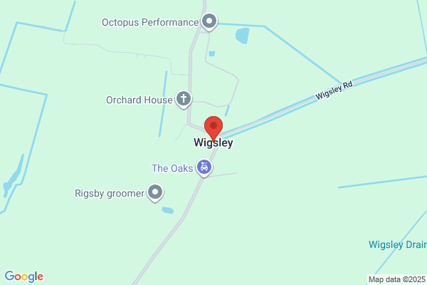 Wigsley Pine