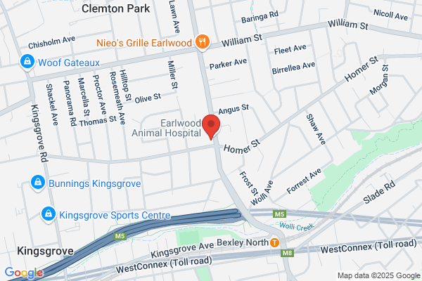 Orthodox Christian Books Ltd