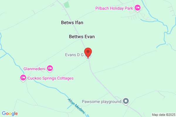 D G Evans