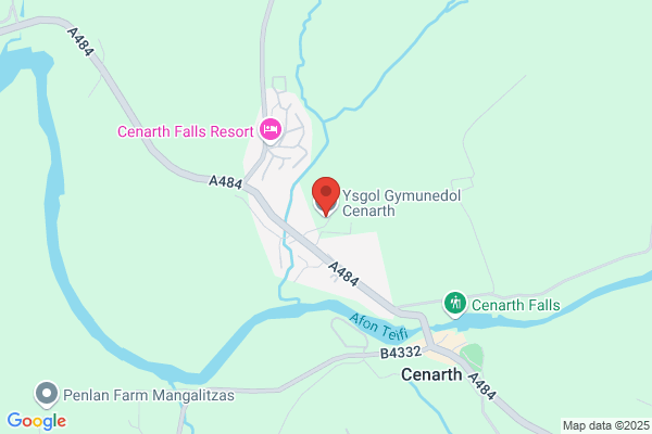 Cenarth C P School