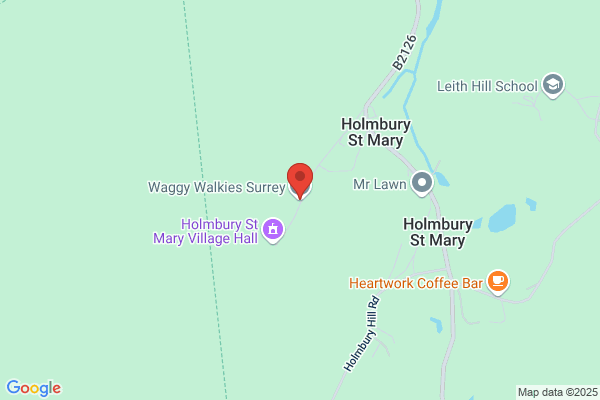 Leith Hill Dog Walking Services