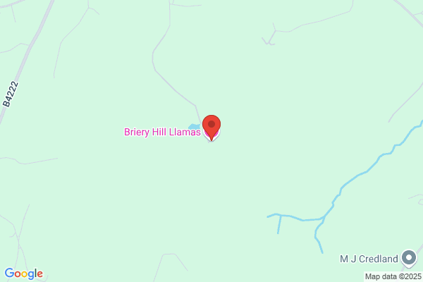 Briery Hill Llamas