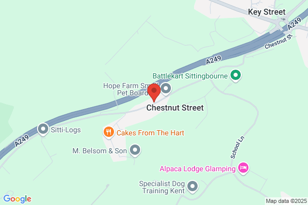 Chestnut Coachworks