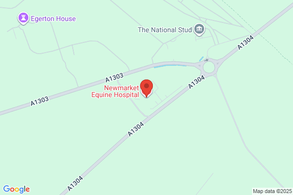 Newmarket Horse & Pony Rescue