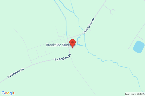 Brookside Stud Ltd