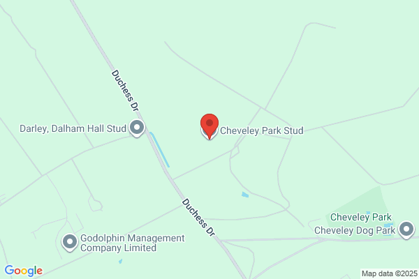 Cheveley Park Stud Ltd