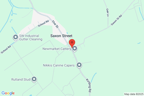 Saxon Street Nursery & Playgroup