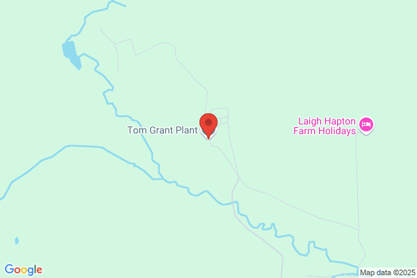Tom Grant Plant