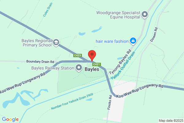Bayles