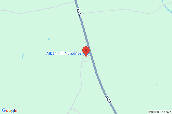 Alban Hill Nursery