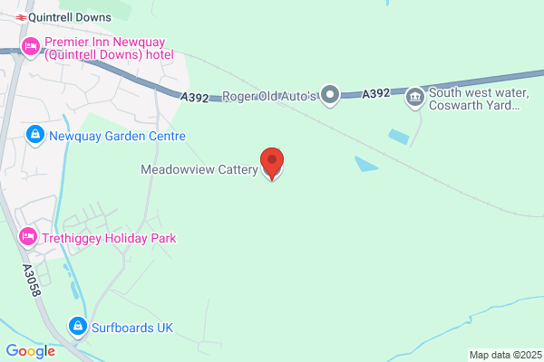 Newquay Boarding Cattery