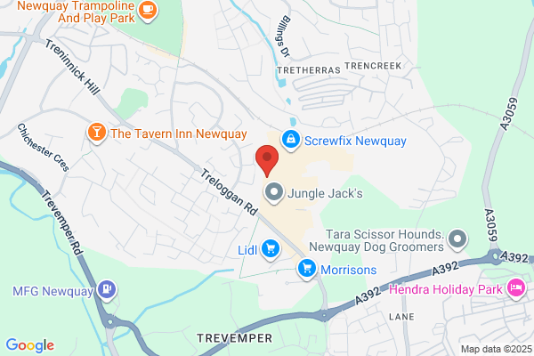 Newquay Vet