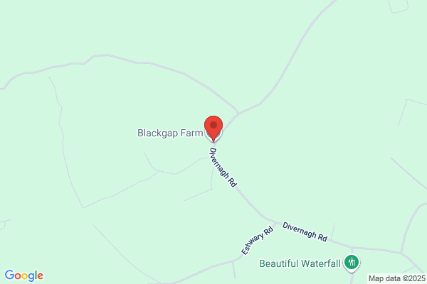 Bessbrook Farm