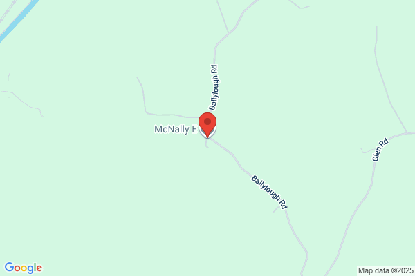 E McNally