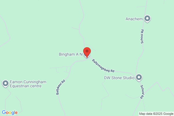 A N Bingham