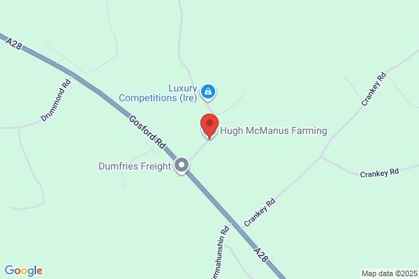 Hugh T McManus
