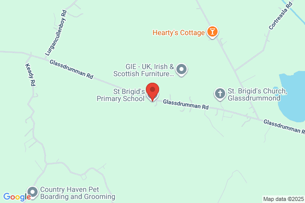 St Brigid's Primary School