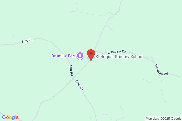 St Brigids Primary School