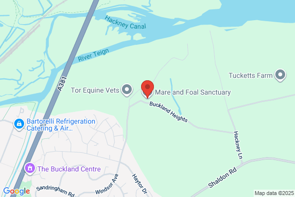 The Mare and Foal Sanctuary