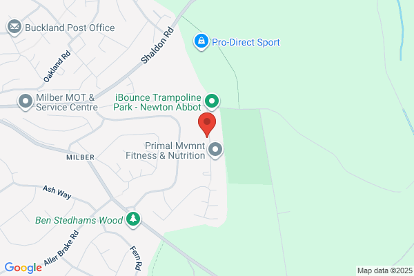 Dave Petherick Motor Mechanic Newton Abbot