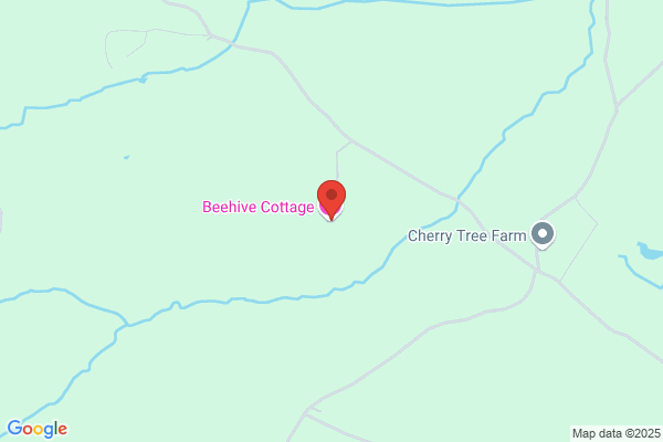 The Hive Bed & Breakfast