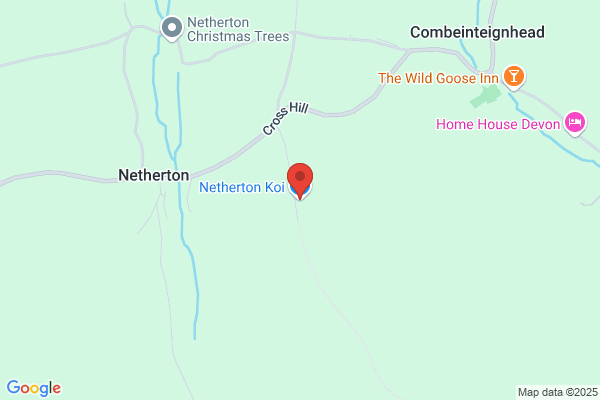 Netherton Koi