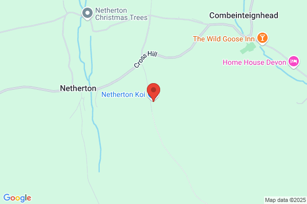 Netherton Koi