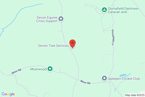 Devon Tree Services