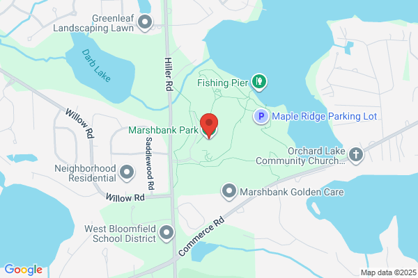 Marshbank