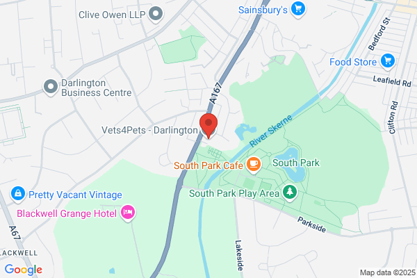 Vets4Pets - Darlington
