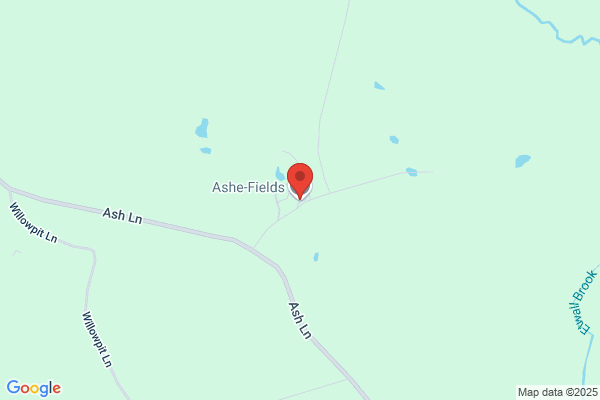 Ashe-Fields