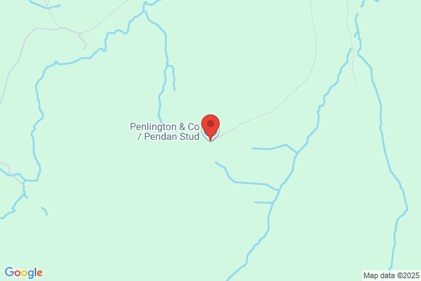 Penlington & Co
