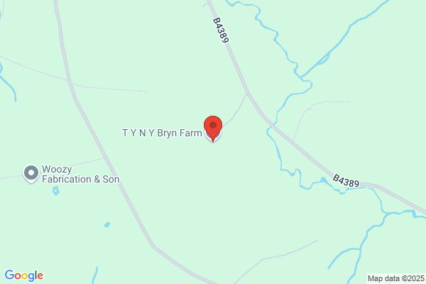 Tyn Y Bryn