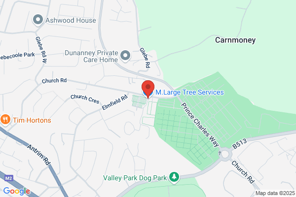 M Large Tree Services Ltd