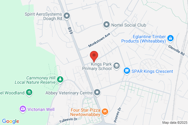 Roofing NI Newtownabbey