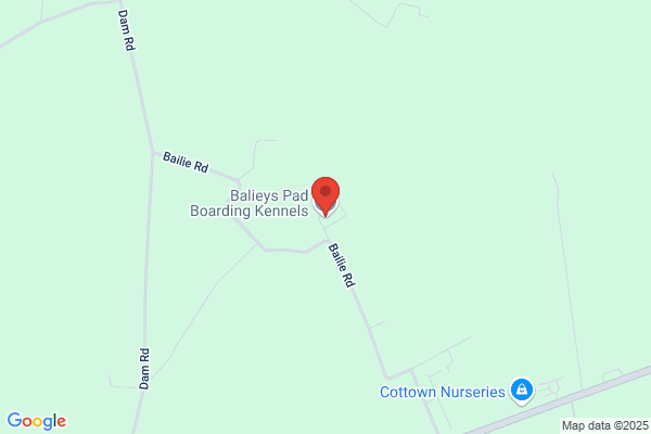 Ballyborley Boarding Kennels