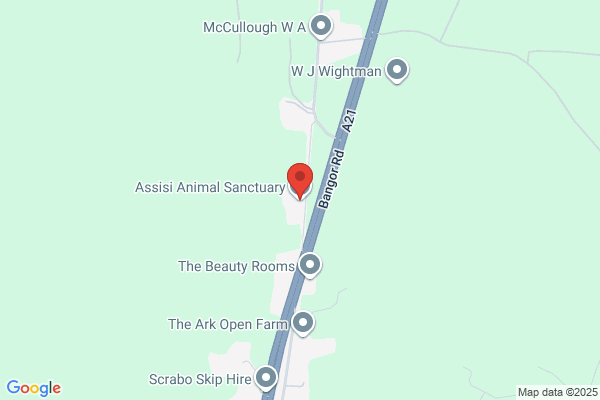 Assisi