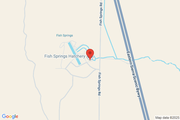 Costa Spring Hatchery Ltd