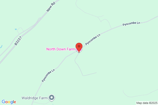 North Downs Services