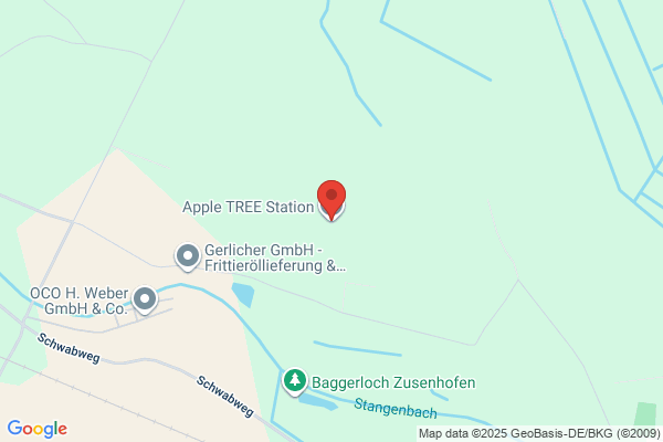 Apple Trees