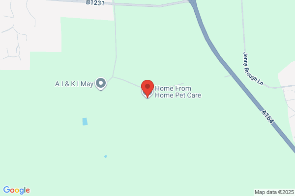 Home From Home