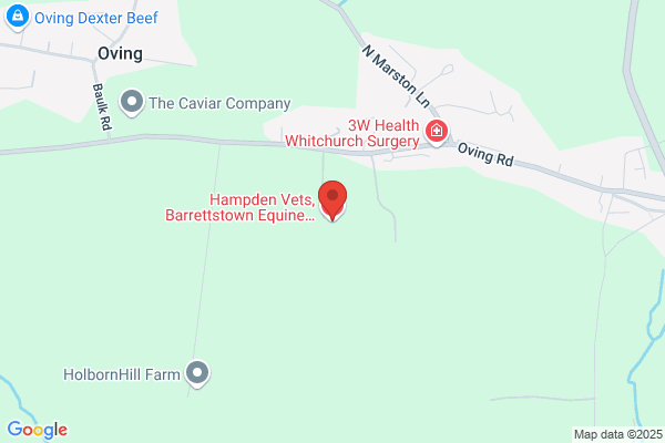 Hampden Vets, Barrettstown Equine Clinic