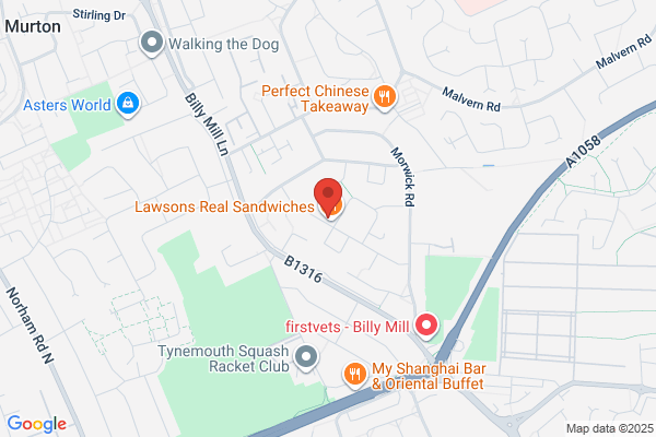 Lewins Discount