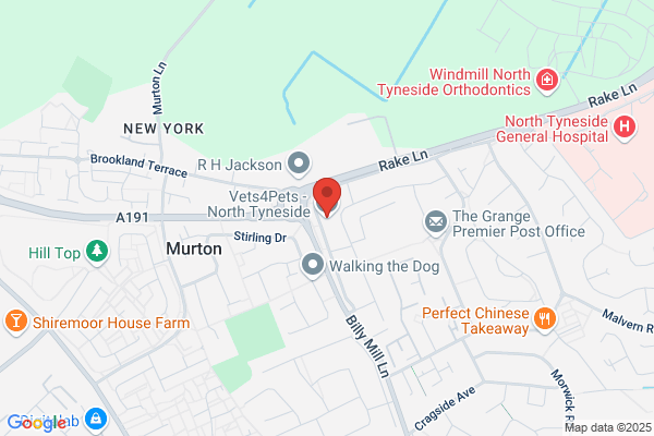 Vets4Pets - North Tyneside